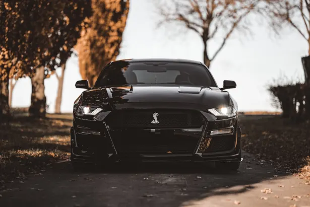 카지노 골든 팰리스 안드로이드/iOS 앱